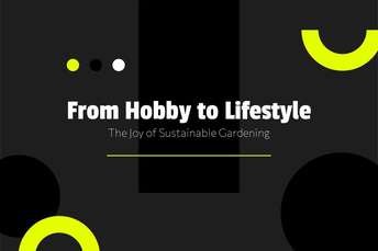 Blog Headers Large - Lifestyle